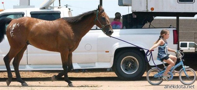 Πάμε αλογάκι! 