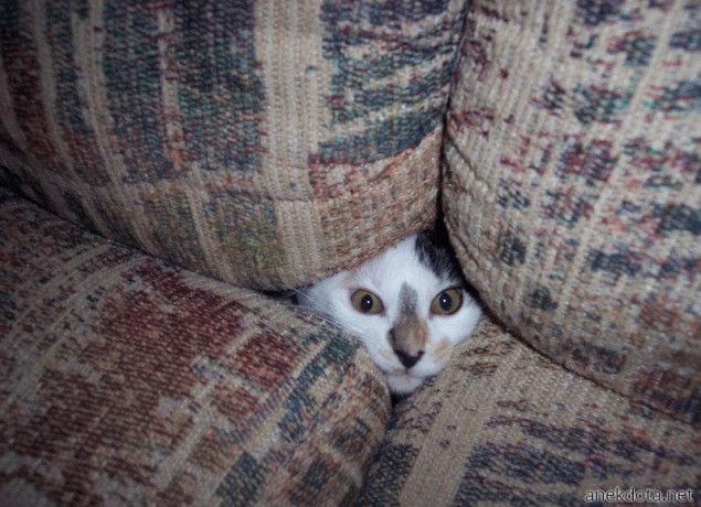 Επ,τι γίνεται εδώ; 