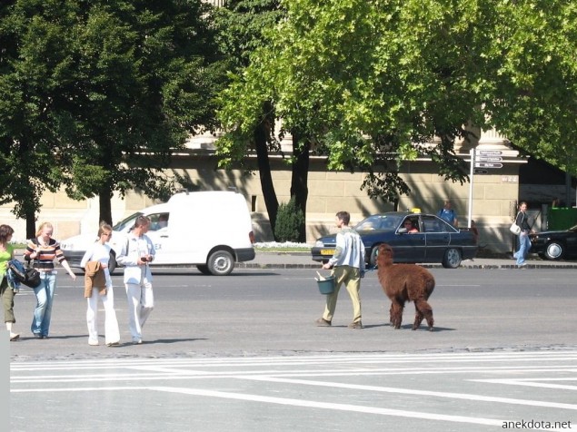Πού είναι το περίεργο; 
