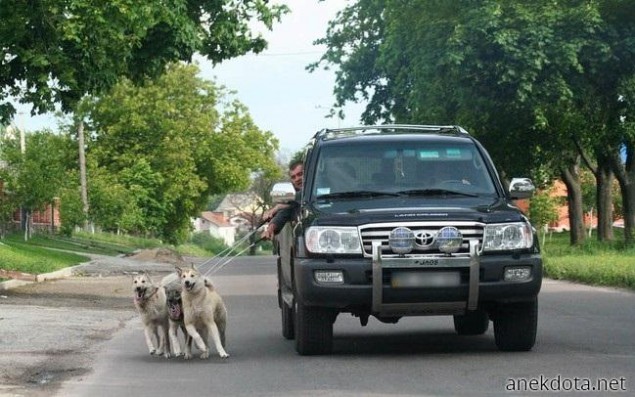 Εναλακτική βόλτα 