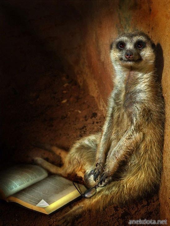 Τι θα θέλατε;Διαβάζω τώρα.. 