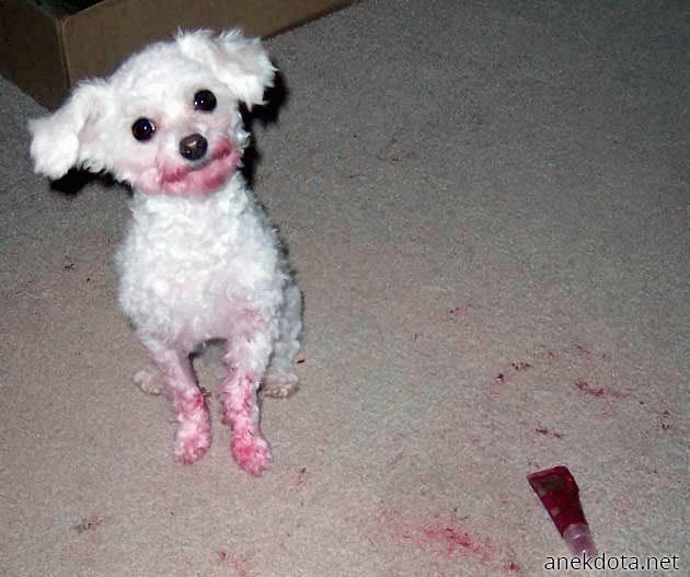 Άστο πως έγινε.. 