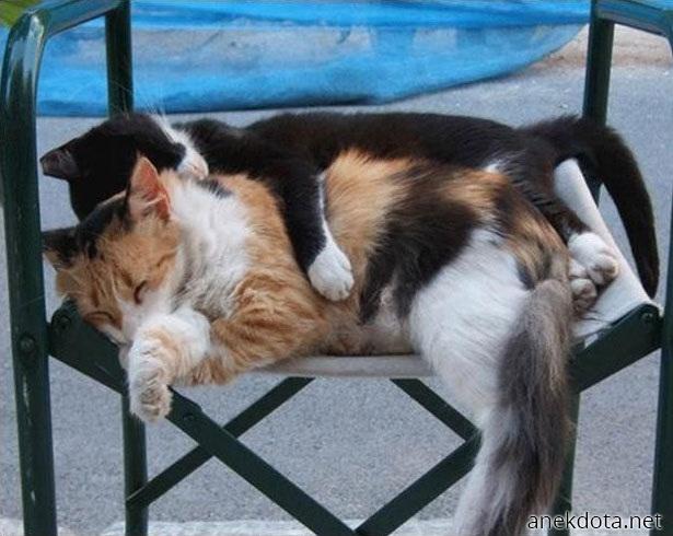 Ο πιό καλός ύπνος 