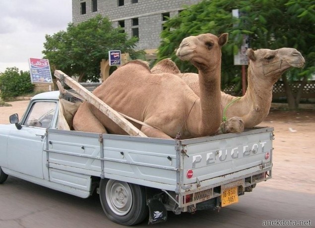 Νομίζω δε χωράμε καλά εδώ μέσα 