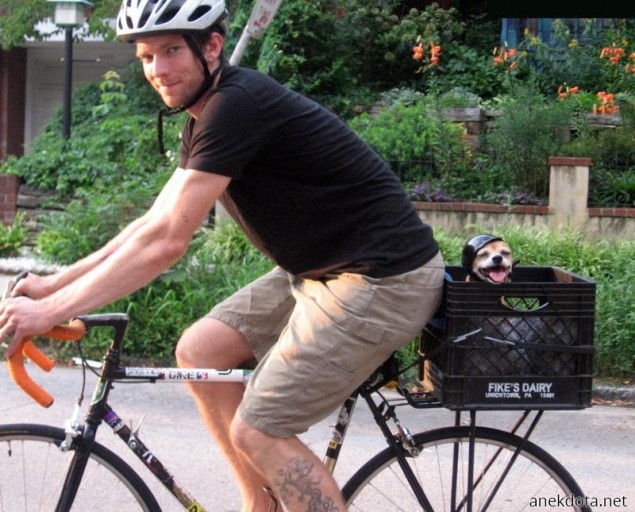 Μια φάτσα στην καρότσα 