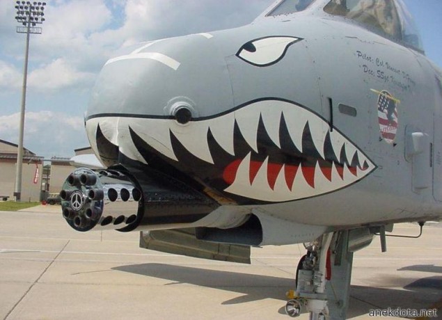 Sharkplane 