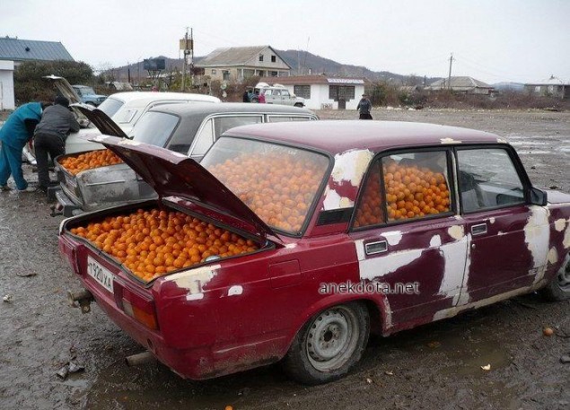 Πορτοκάλια πουλάω 