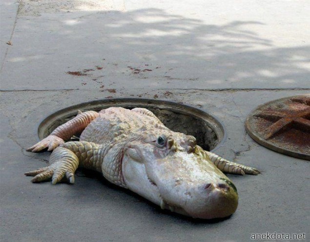 Τελικά είναι αλήθεια 