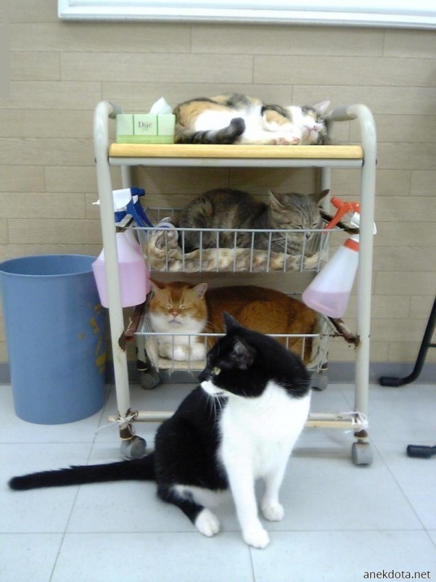 Που να καθαρίσουμε σήμερα; 