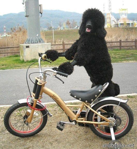 Πάμε καμιά βόλτα; 