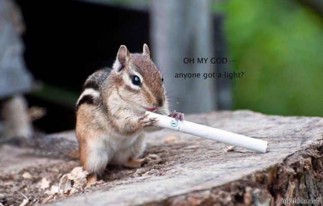 Φωτιά κανείς; 