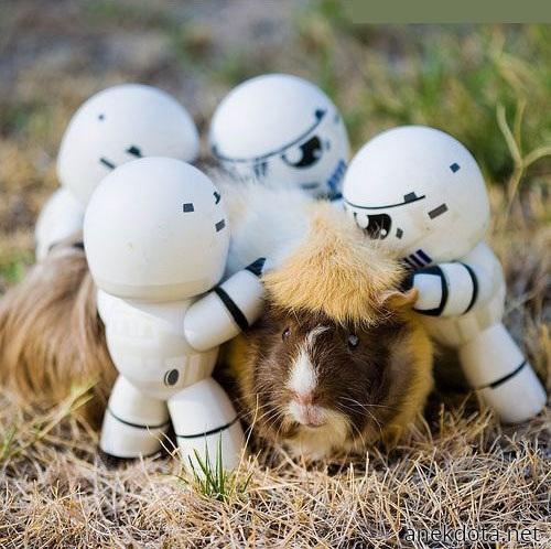 Του την έπεσαν 