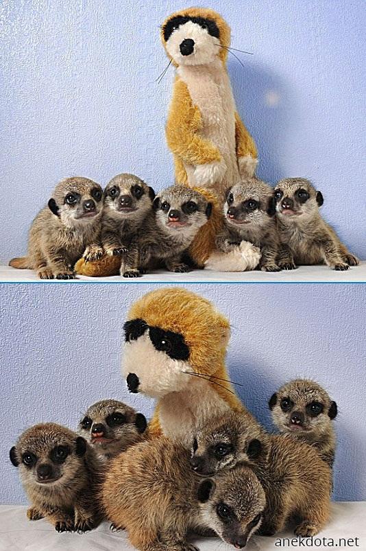 Παρέα με τον αρχηγό 