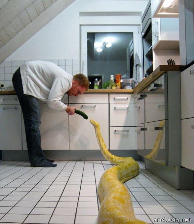 Τρώς αγγουράκι; 