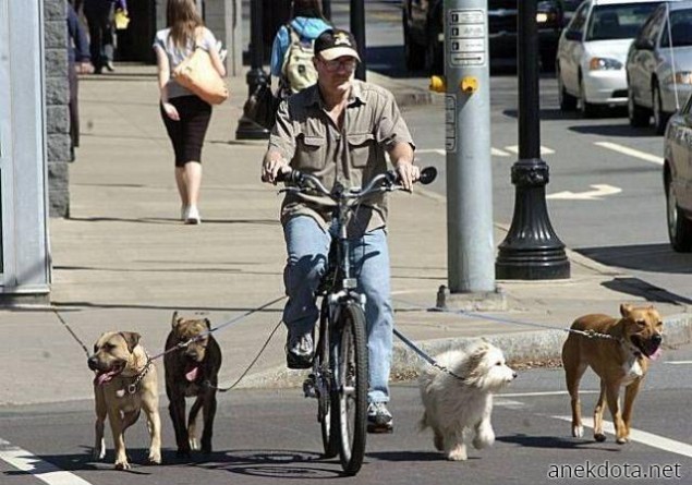 Βόλτα με το ποδήλατο 