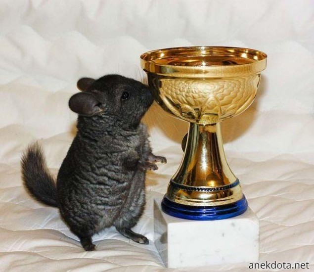 Το κέρδισα, το κέρδισα! 