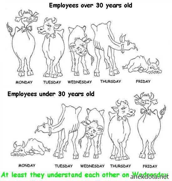 Οι εργαζόμενοι και η ηλικία 