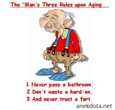 Παπουδοκανόνες 