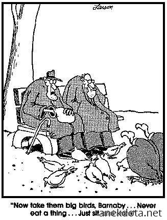 Δε ξέρω γιατί αυτά τα μεγάλα απλά κοιτάνε και δε τρώνε 