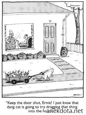 Κλείδωσε γιατί αυτή η γάτα θα μας κάνει χάλια 