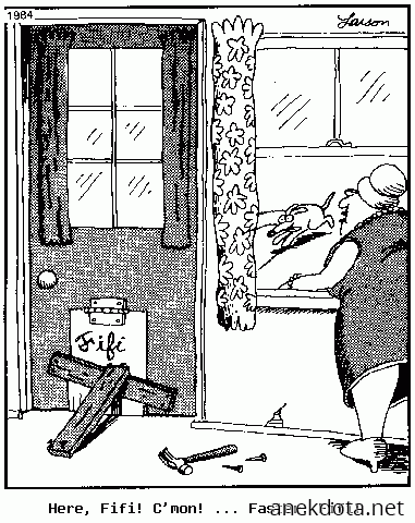 Έλα γρήγορα Φίφι 