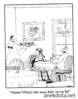 Τι κάνει αυτή η σούπα στη μύγα μου 