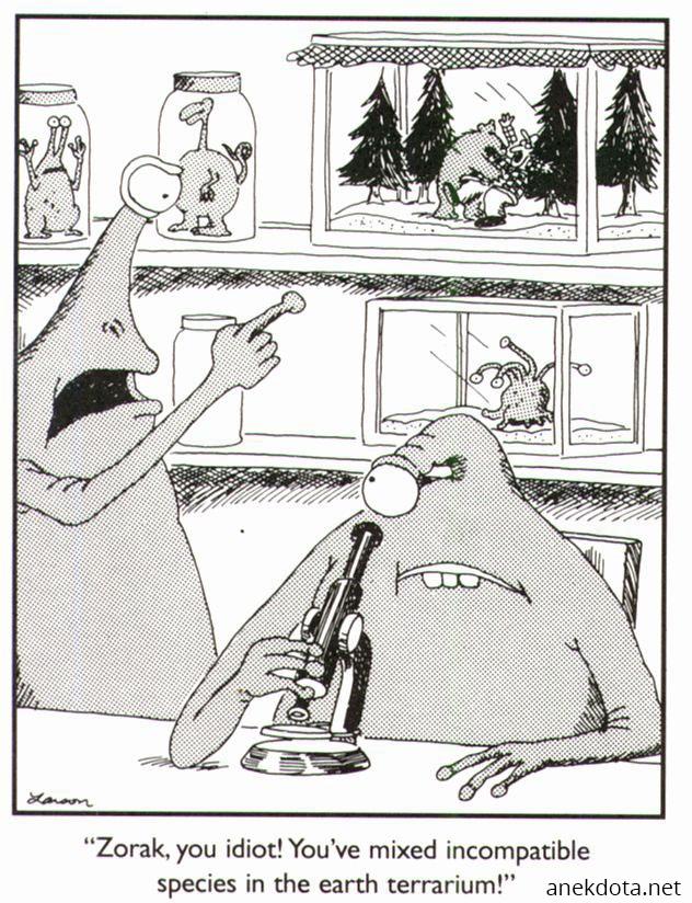 Ρε σου είπα να μη τα βάλεις μαζί 