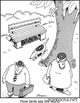 Πως βλέπουν τα πουλιά τον κόσμο 