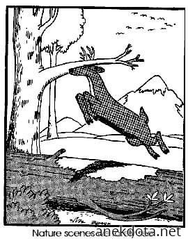 Σπάνια θεάματα στην φύση 