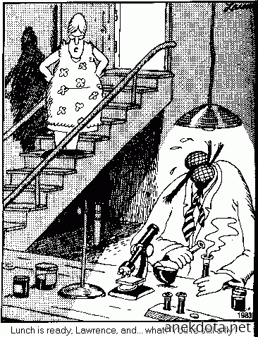 Καλά,ακόμα μύγα είσαι; 