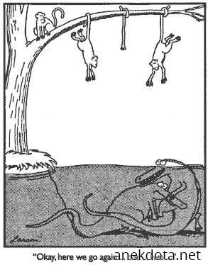 Έλα πάμε πάλι 