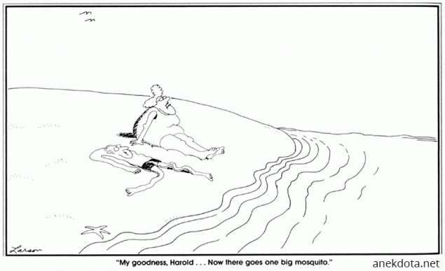 Μεγάλο κουνούπι 