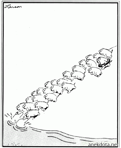 Χεχε, γατάκια…. 