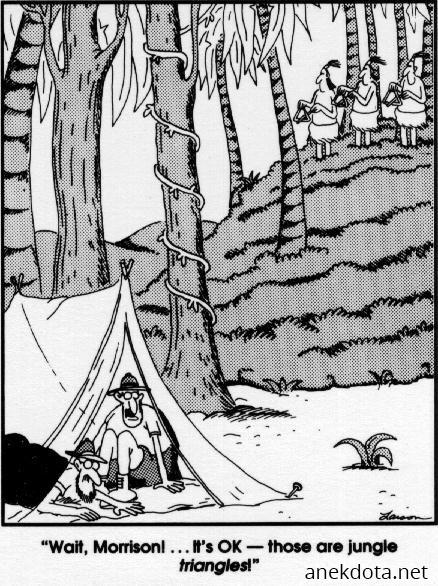 Τρίγωνα στη ζούγκλα 