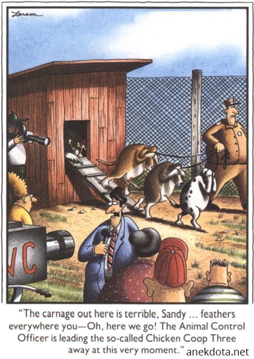 Η σφαγή των πουλερικών 