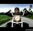 Funny Blind Guy Motorcycle Commercial
