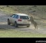 Funny Animal attacks on Humans – Lions Attack a Car