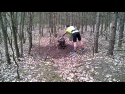 Trapped Mouflon (wild sheep) Rescued By Jogger